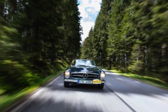 Spring-Classic-5D-1_90