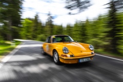 Spring-Classic-5D-1_99
