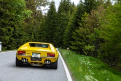 Spring-Classic-5D-2