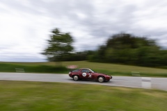 Spring-Classic-5D-2_25