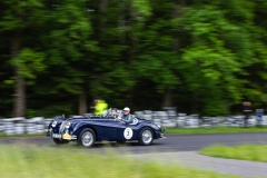 Spring-Classic-6D-1_17
