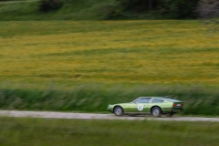 Spring-Classic-6D-1_50