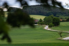 Spring-Classic-6D-2_79