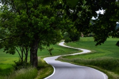 Spring-Classic-6D-2_86