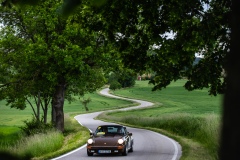Spring-Classic-6D-2_87