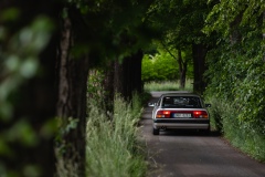 Spring-Classic-6D-2_96