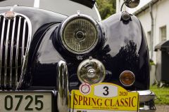 IMG_8493§§§§§