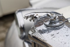 10-IMG_8381
