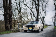 spring_2023_HQ_014