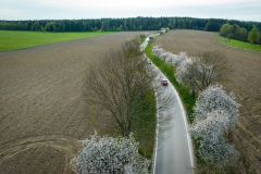 DJI_0226