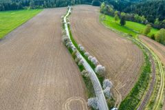 DJI_0253