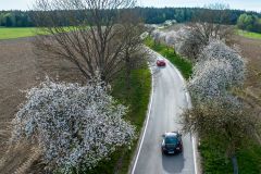 DJI_0285