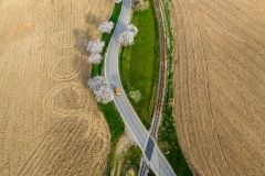 DJI_0286