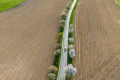 DJI_0292