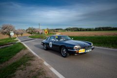 Z6F_4884