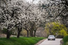 SPRING_2026_SKR_HQ_062