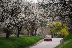 SPRING_2026_SKR_HQ_063